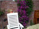 2011-merels-5-dagen_2.jpg